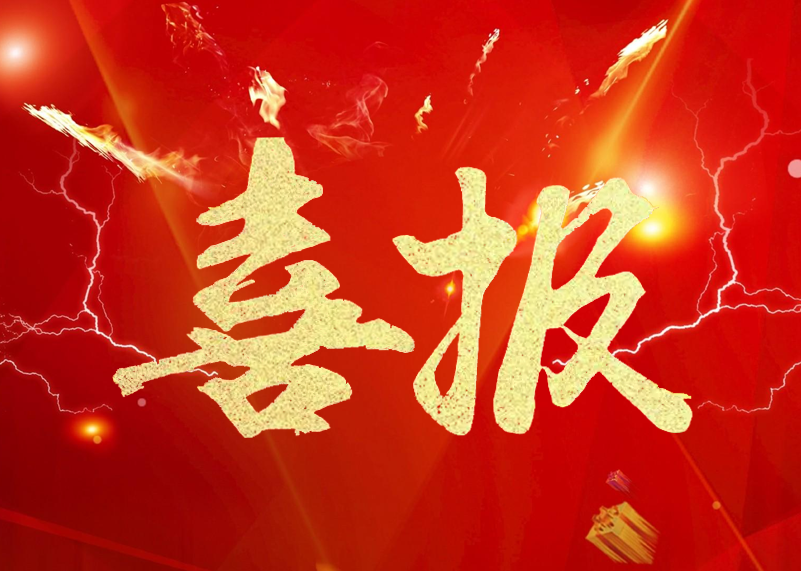 永利显示再获行业殊荣